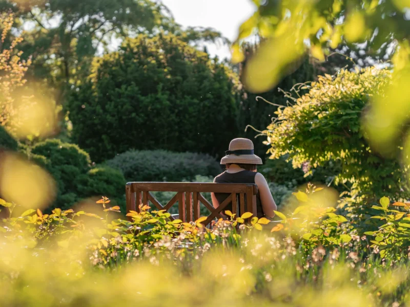 Peaceful garden setting with a person enjoying a quiet moment outdoors