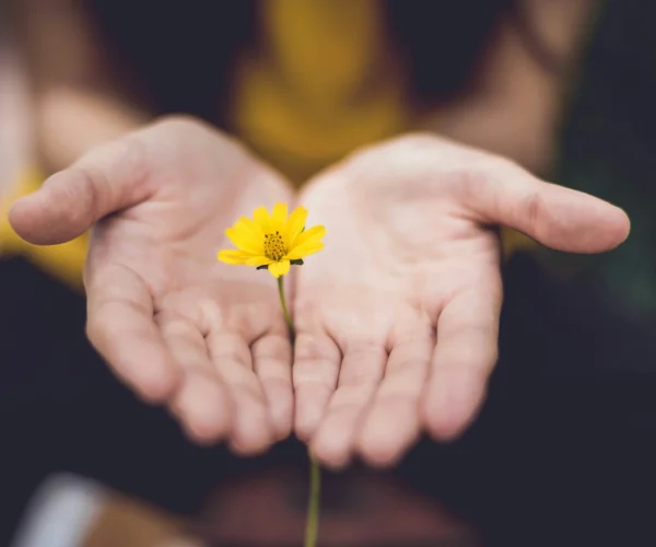 Helping families find compassionate care and suppo